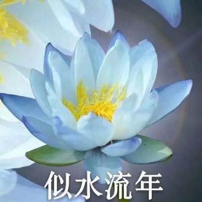豪侠破解版下载
